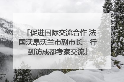 促进国际交流合作 法国沃昂沃兰市副市长一行到访成都考察交流