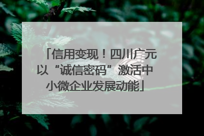 信用变现！四川广元以“诚信密码”激活中小微企业发展动能