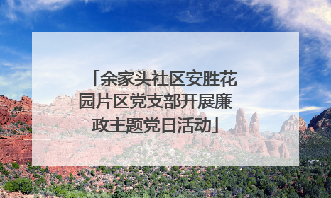 余家头社区安胜花园片区党支部开展廉政主题党日活动