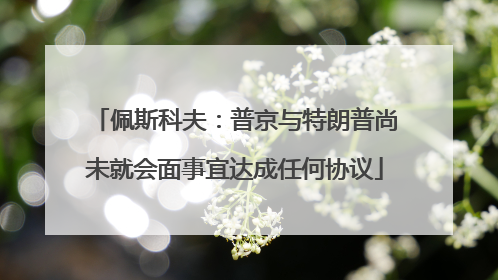 佩斯科夫：普京与特朗普尚未就会面事宜达成任何协议