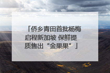 侨乡青田首批杨梅启程新加坡 保鲜提质售出“金果果”