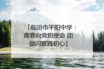 临汾市平阳中学：青春向党担使命 团徽闪耀践初心