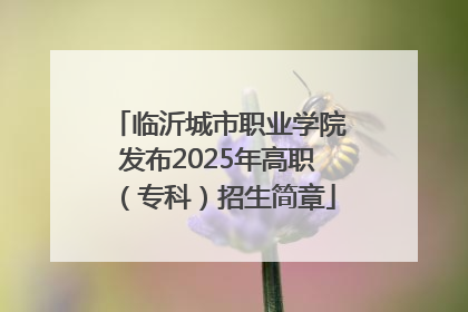 临沂城市职业学院发布2025年高职（专科）招生简章