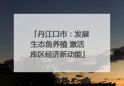 丹江口市：发展生态鱼养殖 激活库区经济新动能