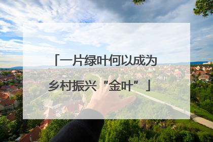 一片绿叶何以成为乡村振兴“金叶”