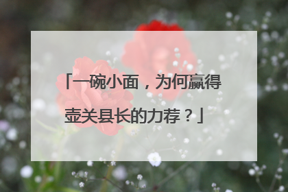 一碗小面，为何赢得壶关县长的力荐？