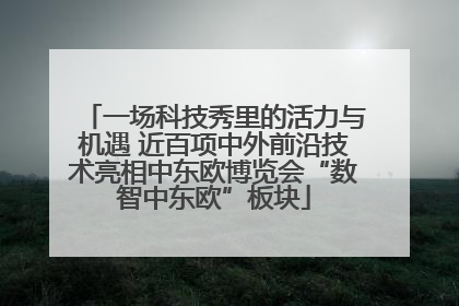 一场科技秀里的活力与机遇 近百项中外前沿技术亮相中东欧博览会“数智中东欧”板块