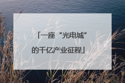 一座“光电城”的千亿产业征程