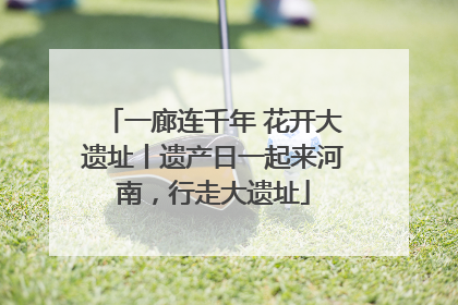 一廊连千年 花开大遗址丨遗产日一起来河南，行走大遗址