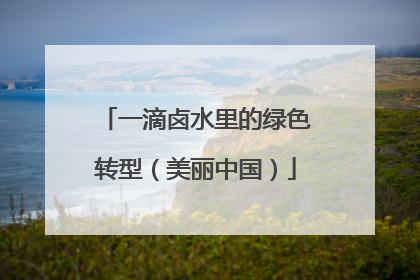 一滴卤水里的绿色转型（美丽中国）