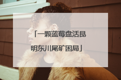一颗蓝莓盘活昆明东川尾矿困局