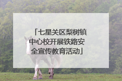 七星关区梨树镇中心校开展铁路安全宣传教育活动