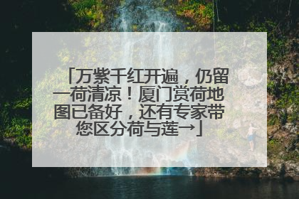 万紫千红开遍，仍留一荷清凉！厦门赏荷地图已备好，还有专家带您区分荷与莲→