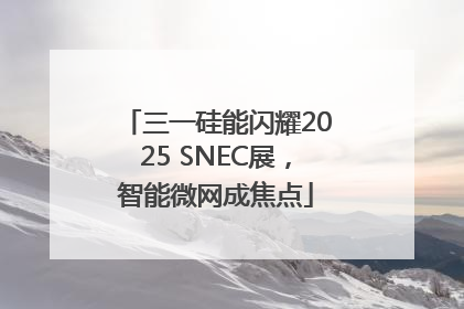 三一硅能闪耀2025 SNEC展，智能微网成焦点