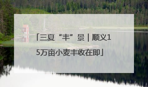 三夏“丰”景｜顺义15万亩小麦丰收在即