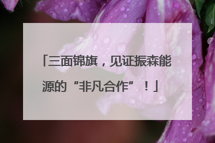 三面锦旗，见证振森能源的“非凡合作”！