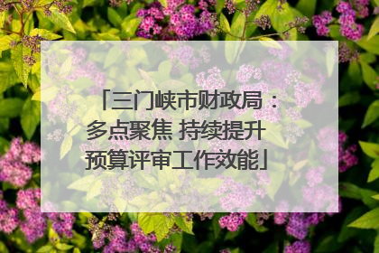 三门峡市财政局：多点聚焦 持续提升预算评审工作效能