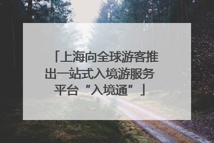 上海向全球游客推出一站式入境游服务平台“入境通”