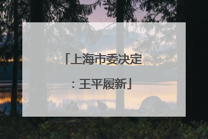 上海市委决定：王平履新