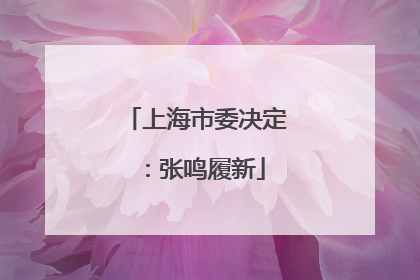 上海市委决定：张鸣履新