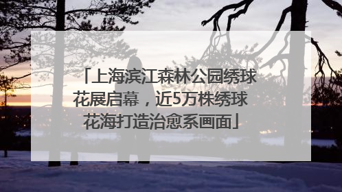 上海滨江森林公园绣球花展启幕，近5万株绣球花海打造治愈系画面