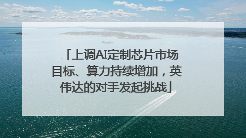 上调AI定制芯片市场目标、算力持续增加，英伟达的对手发起挑战