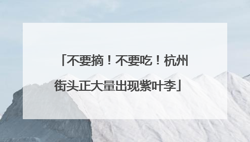 不要摘！不要吃！杭州街头正大量出现紫叶李
