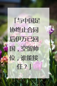 与中国足协终止合同后伊万已回国，空留帅位，谁能接任？
