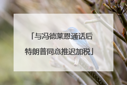 与冯德莱恩通话后 特朗普同意推迟加税