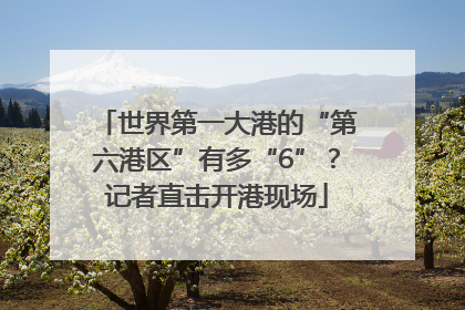 世界第一大港的“第六港区”有多“6”？记者直击开港现场