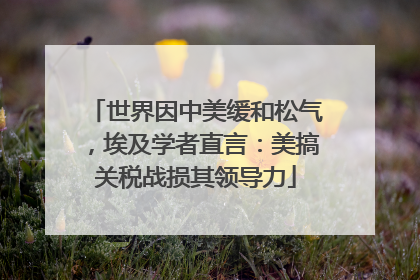 世界因中美缓和松气，埃及学者直言：美搞关税战损其领导力