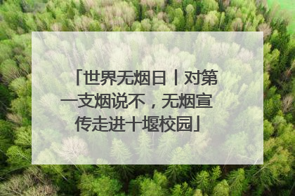 世界无烟日丨对第一支烟说不，无烟宣传走进十堰校园