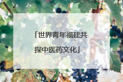 世界青年福建共探中医药文化