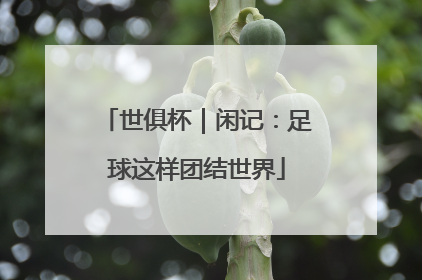 世俱杯｜闲记：足球这样团结世界
