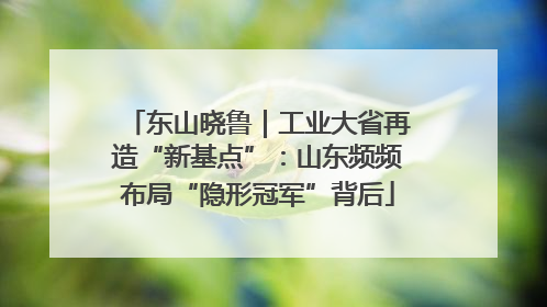 东山晓鲁｜工业大省再造“新基点”：山东频频布局“隐形冠军”背后