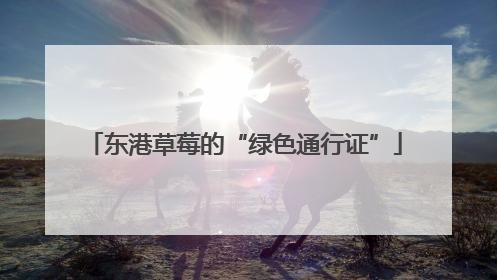 东港草莓的“绿色通行证”