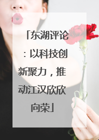 东湖评论：以科技创新聚力，推动江汉欣欣向荣