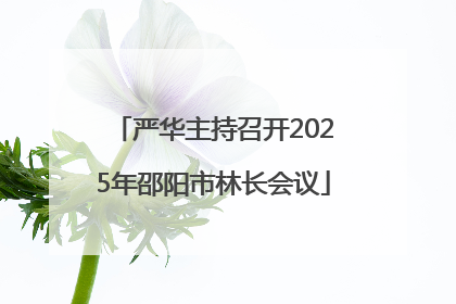 严华主持召开2025年邵阳市林长会议