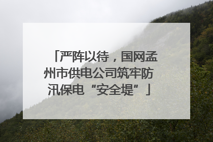 严阵以待，国网孟州市供电公司筑牢防汛保电“安全堤”