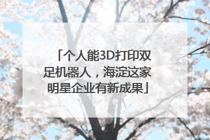 个人能3D打印双足机器人，海淀这家明星企业有新成果