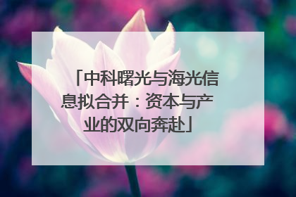 中科曙光与海光信息拟合并：资本与产业的双向奔赴