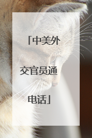 中美外交官员通电话