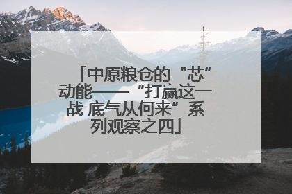 中原粮仓的“芯”动能——“打赢这一战 底气从何来”系列观察之四