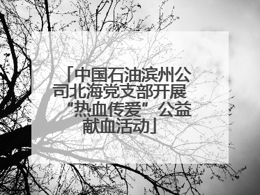 中国石油滨州公司北海党支部开展“热血传爱”公益献血活动