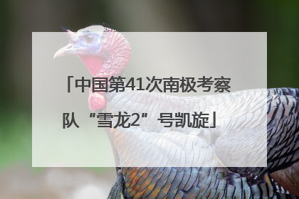 中国第41次南极考察队“雪龙2”号凯旋