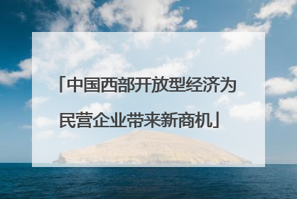 中国西部开放型经济为民营企业带来新商机