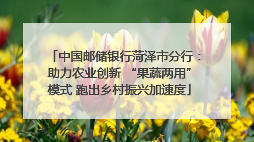中国邮储银行菏泽市分行：助力农业创新 “果蔬两用”模式 跑出乡村振兴加速度