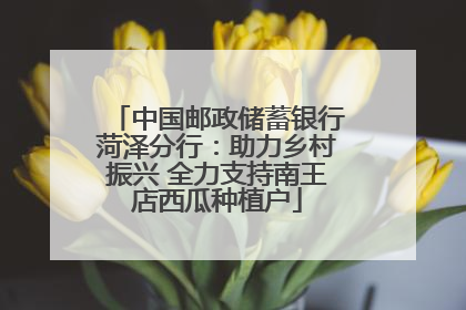 中国邮政储蓄银行菏泽分行：助力乡村振兴 全力支持南王店西瓜种植户