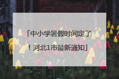 中小学暑假时间定了！河北1市最新通知
