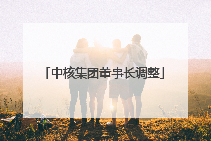 中核集团董事长调整